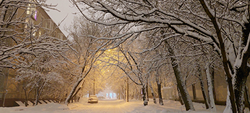 Обложка стиха